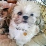 George Scanlon - @kinggeorge_vt - Instagram