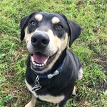 George Schaeffer - @george.schaeffer - Instagram