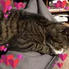 George Schaeffer - @2183718943 - TikTok