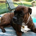 George Scheer - @gscheer50 - Instagram
