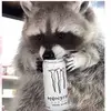 GEORGE.JSCHILLIN - @george.jschillin20 - TikTok