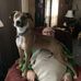George T. Schlemmer - Facebook