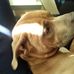 George Schoen - Facebook