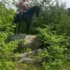 George Scholl - @george.scholl3 - TikTok
