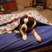 George Bungle Schreckengost - Facebook