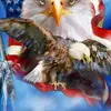 George Schreck - @george.schreck - TikTok