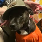 George Schuler - @texturtle2060 - Instagram