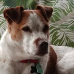 George Schwarz - @newsguygeorge - Instagram