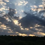 George Schwarzmann - @george_schwarzmann - Instagram