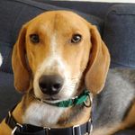 Milo George Sessions - @mi_lo_g - Instagram