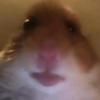 georgesharp08 - @georgesharp08 - TikTok