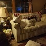 George Showalter - @george.showalter - Instagram