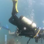 George Sierra - @georgesierra425 - Instagram
