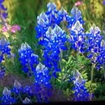 George Slaybaugh - @georgeslaybaugh - Instagram