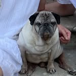 Georges - @georges_la_yoyo - Instagram