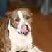 George Smythe - Facebook