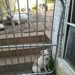 George Snead - @snead6776 - Instagram