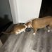 George Sopko - Facebook