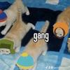 south_park_guy1 - @george_south_park_guy493 - TikTok