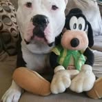 George Space - Facebook