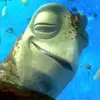 george space - @george.space - TikTok
