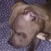 George Span - Facebook