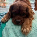 @speck_george - Instagram