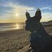 George Spurling - Facebook