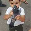 George Spyropoulos - @georgespyropoulos72 - TikTok