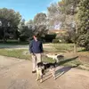 georgespyropoulos81 - @georgespyropoulos81 - TikTok