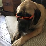 @george_stedman55 - Instagram