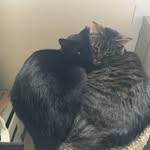 George & Sterling - @george_sterling_adventures - Instagram
