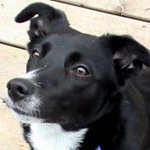 George Stover - @mapleleafmonster - Instagram
