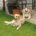 George Stover - Facebook