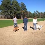 George Strumke - @georgestrumke - Instagram