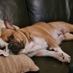 George William - @georgesuh671419 - Instagram
