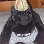George Swinger - @the_gorilla_george_swinger - Instagram