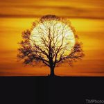 George Tabares DACM, L.Ac. - @acupunctureatx - Instagram