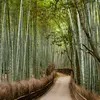 George Tackett - @george.tackett2 - TikTok