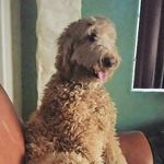 George Tackett - @gjtackett - Instagram