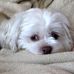 George Tedder - Facebook