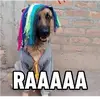 georgeterrazas471 - @georgeterrazas471 - TikTok