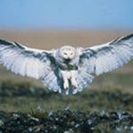 George Terrill - @terrillgeorge - Instagram