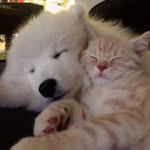 @georgethompson3377640 - Instagram