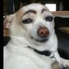 george - @georgetill6 - TikTok