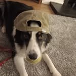 George Timmons - @george.timmons.790 - Instagram