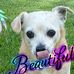 George Tomko - Facebook