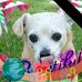 George Tomko - Facebook