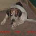 George Tomko - Facebook