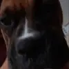 George Tomko - @georgetomko - TikTok
